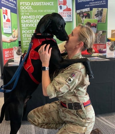 service dog